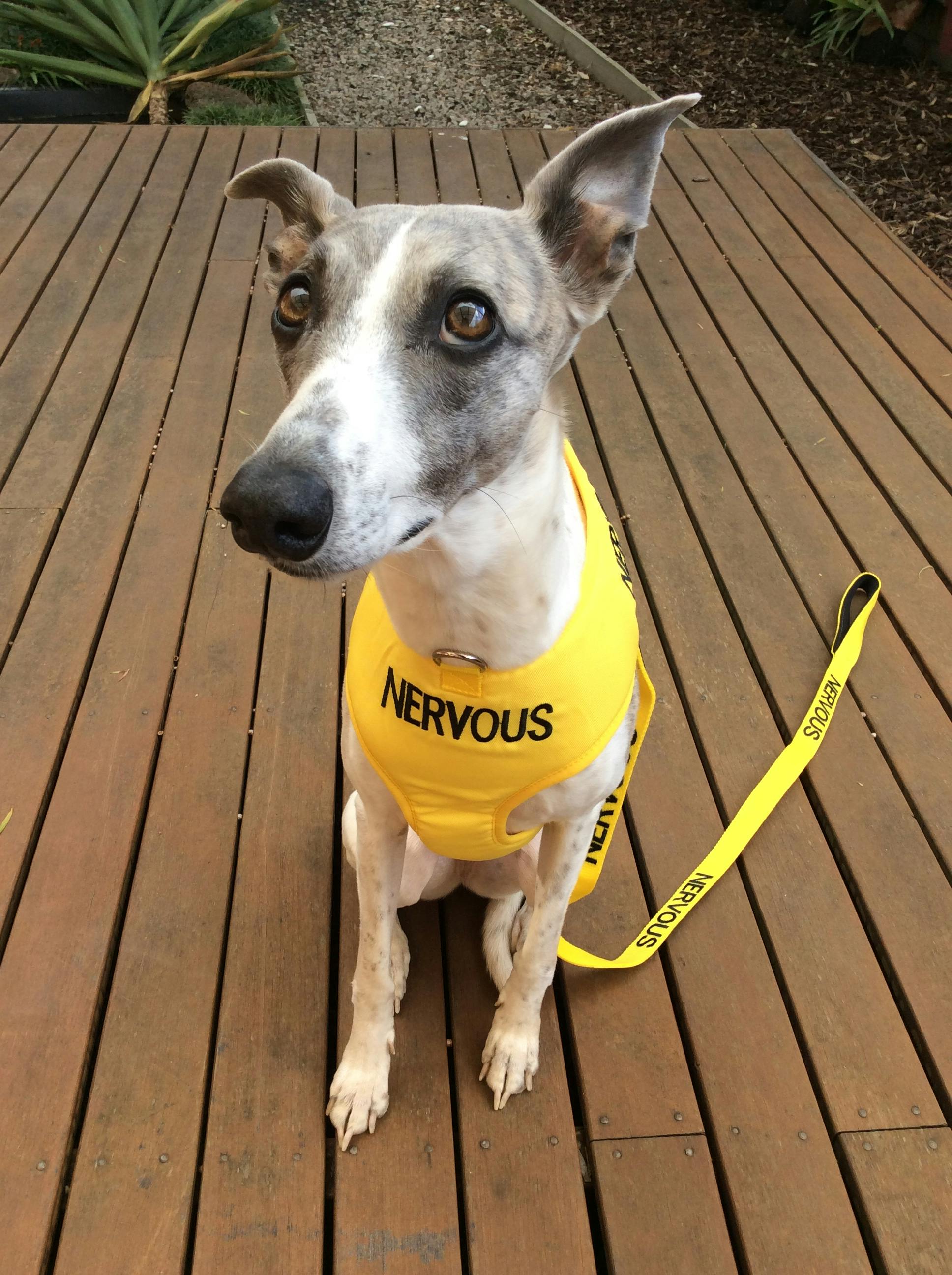 Kristen Stewart Part VI Page 1164 The L Chat